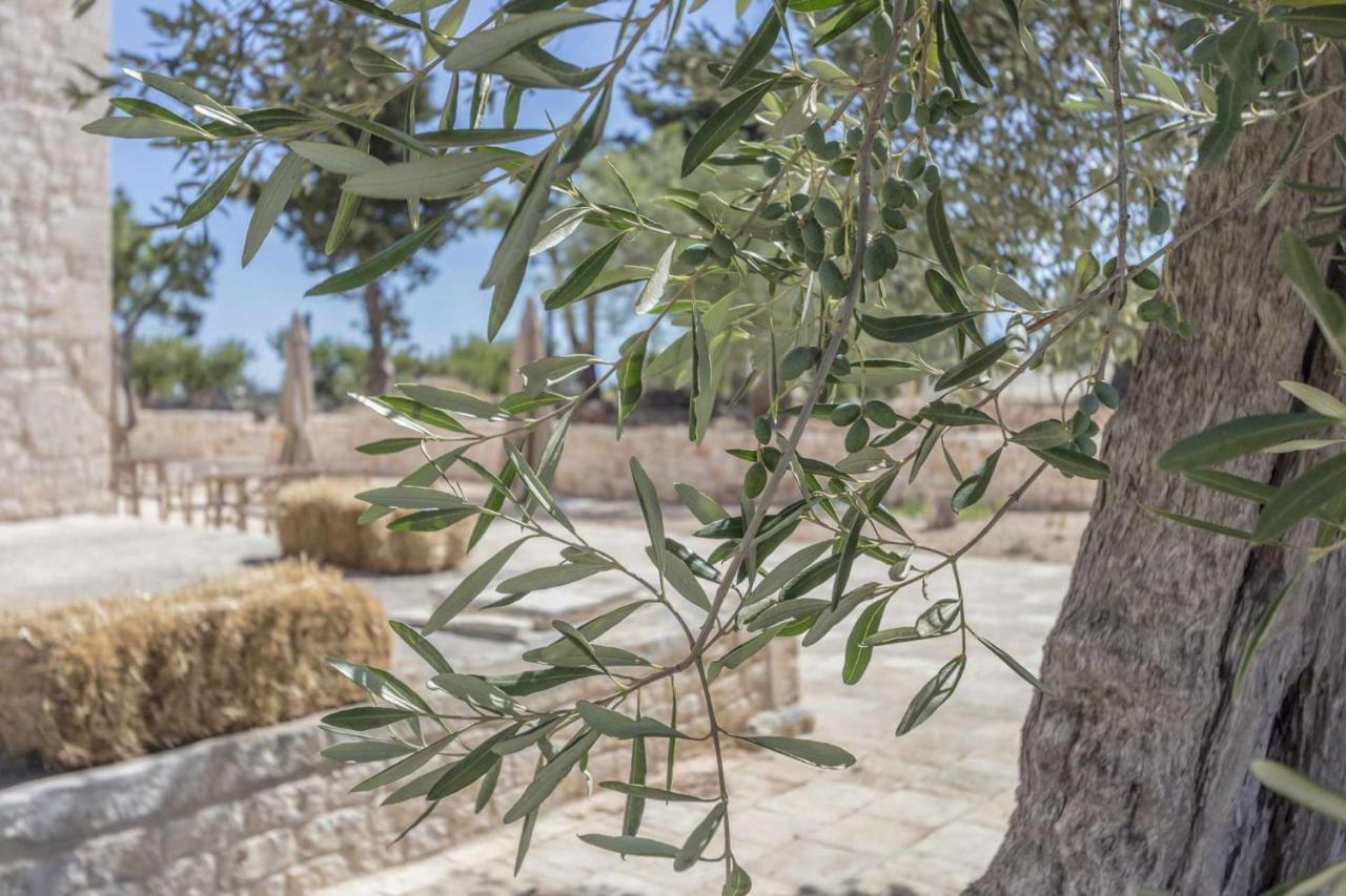Masseria Fanizzi Conversano Eksteriør bilde