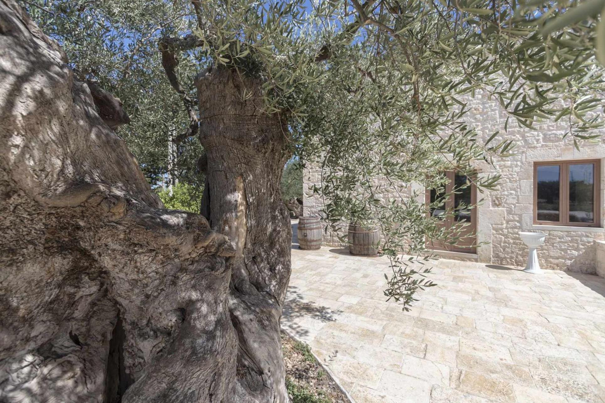 Masseria Fanizzi Conversano Rom bilde