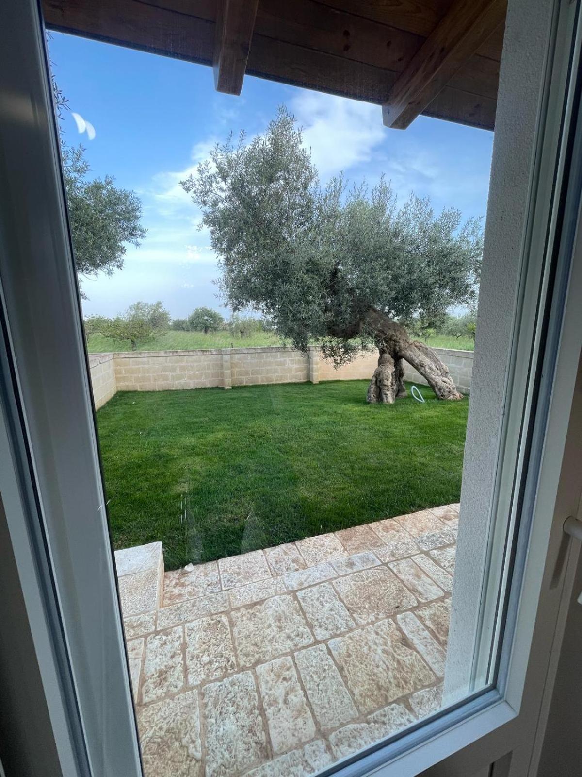 Masseria Fanizzi Conversano Rom bilde